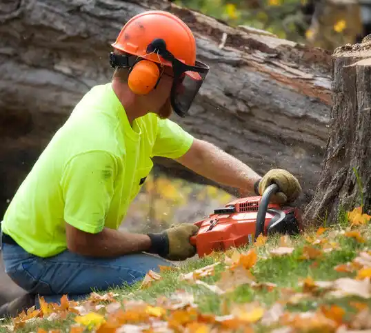 tree services Uniontown